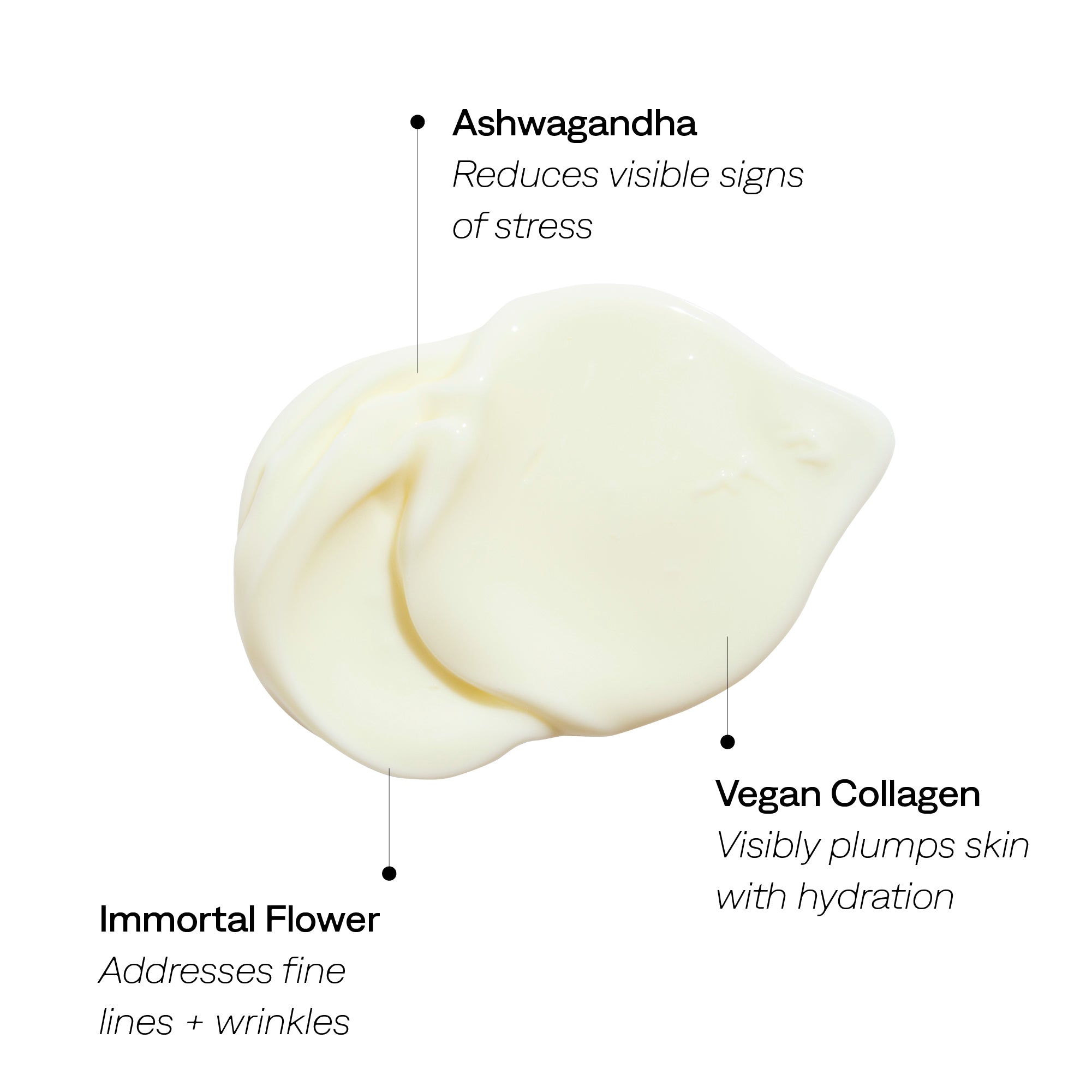 DAYDREAM CREAM Adaptogen Moisturizer