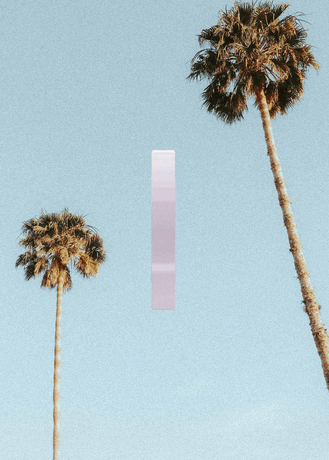 provence_01_360-LA-PalmTrees-19-6_1.gif